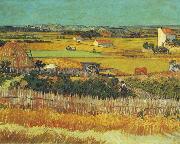 Vincent Van Gogh The Harvest, Arles oil painting reproduction